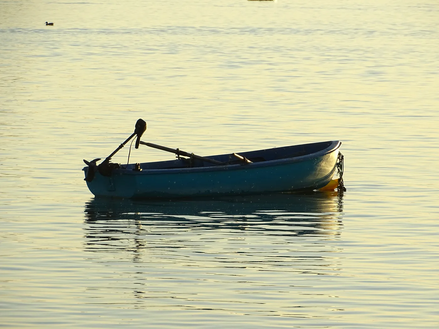 Balaton